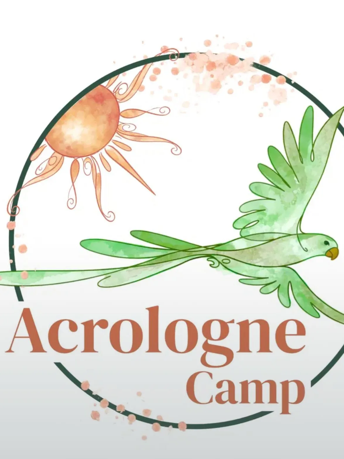 Acrologne Camp — acroyoga training