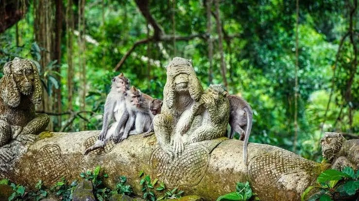 Ubud Bali